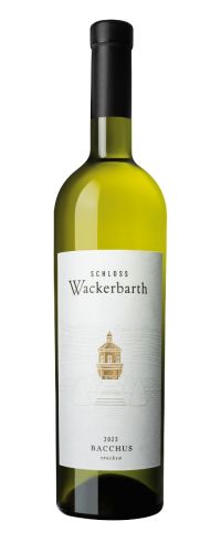 2023er Bacchus trocken