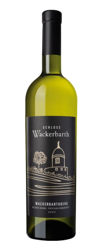2022er Wackerbarthberg Scheurebe im Holzfass gereift trocken