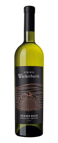 2023er Goldener Wagen Riesling trocken - Lage "Protze"