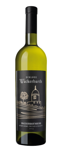 2024er Wackerbarthberg Scheurebe im Holzfass gereift trocken