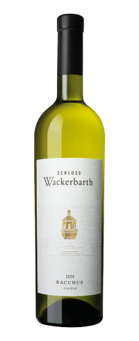 2025er Bacchus trocken