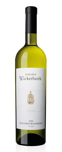 2025er Weißburgunder trocken