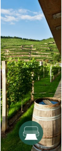 Druck-Gutschein für "Wein- oder Sekt Führung"