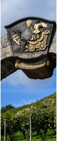 Wackerbarths Lagenwanderung