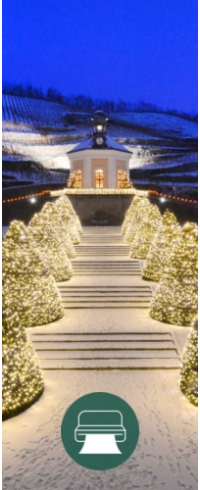 Druckgutschein für "Sternenglanz & Weihnachtsmenü "