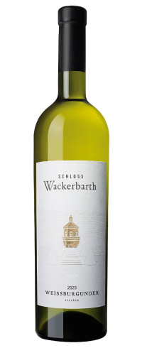 2023er Weißburgunder trocken