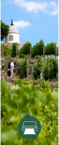 Druck-Gutschein für "Weinbergswanderung"