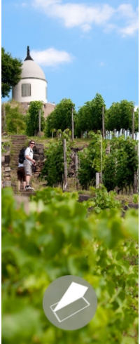 Gutschein für "Weinbergswanderung"