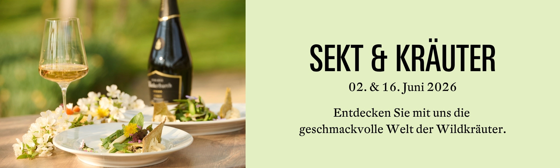 Sekt & Kräuter